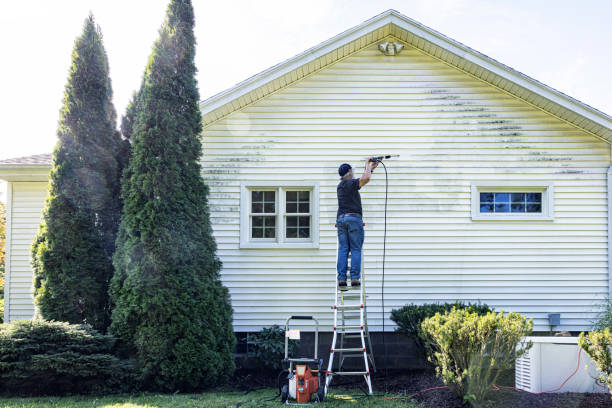 Best Gutter Cleaning and Brightening in Burnet, TX